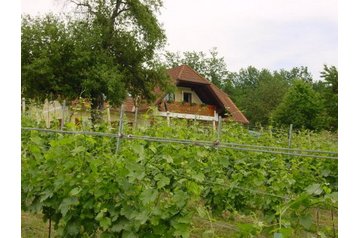 Austria Privát Grosssteinbach, Zewnątrz